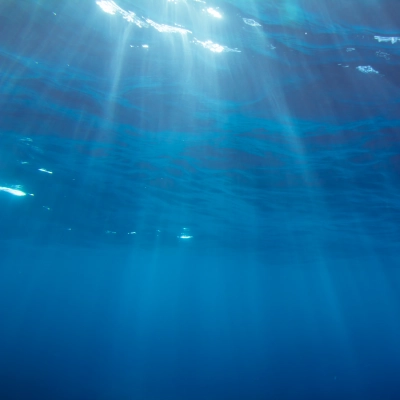 Le Bien-Être de l'Océan - Eau de mer intégrale en France